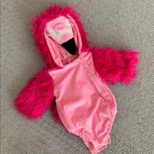 Flamingo Infant Costumes